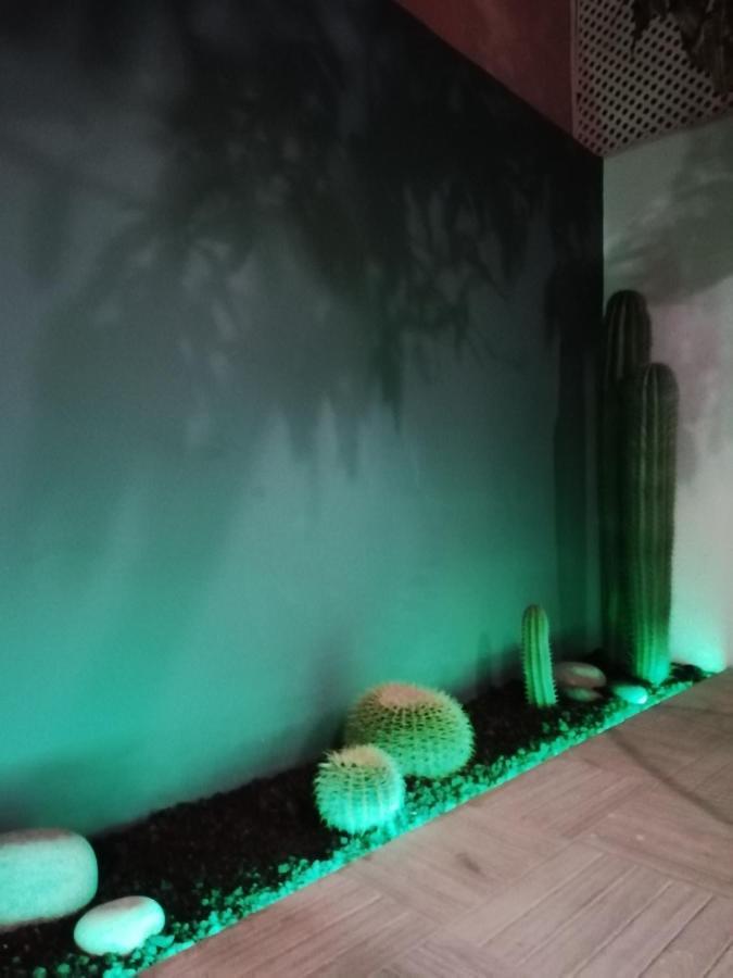 Casa Guadalupe Y Roque Villa ซานตาครูซ เด เตเนริเฟ ภายนอก รูปภาพ